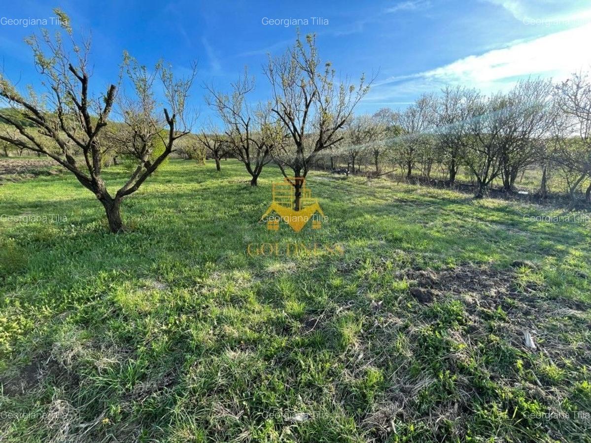 Teren agricol intravilan de 5500 mp, în Sopor - 3