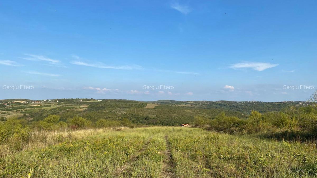 Teren intravilan, Saldabagiul de Munte - 2