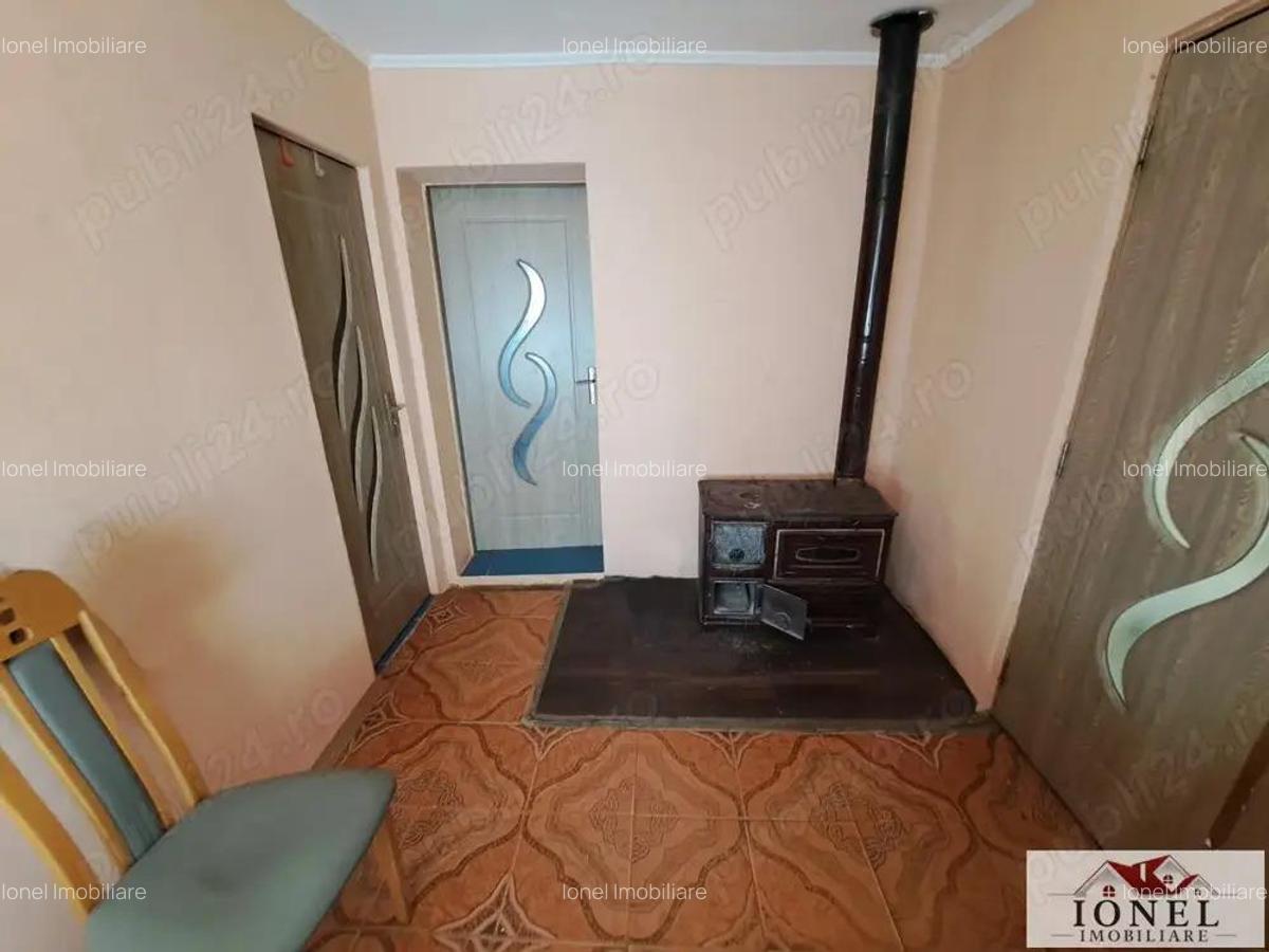 Casa de vanzare in zona Vintu cu 10.790 mp teren - 7