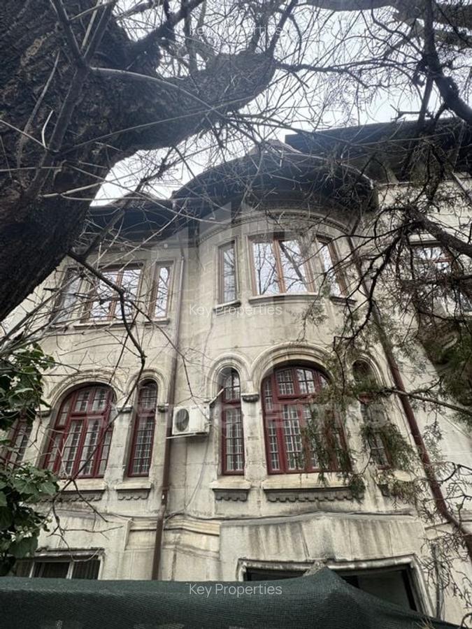 Cotroceni, vila somptouasa, demisol - 12