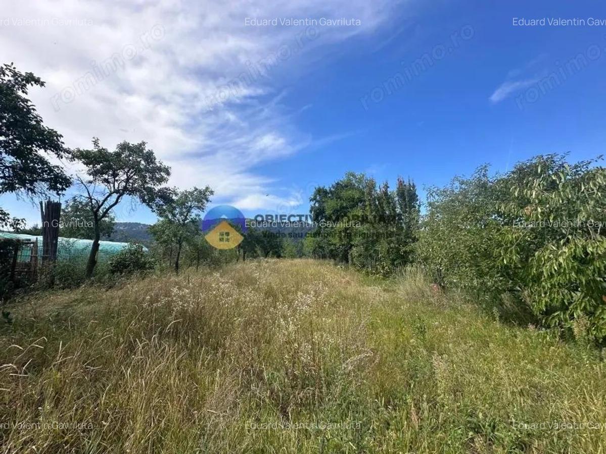 Teren de Vanzare 1172 mp Dumbrava Ro?ie, Neam? - 6