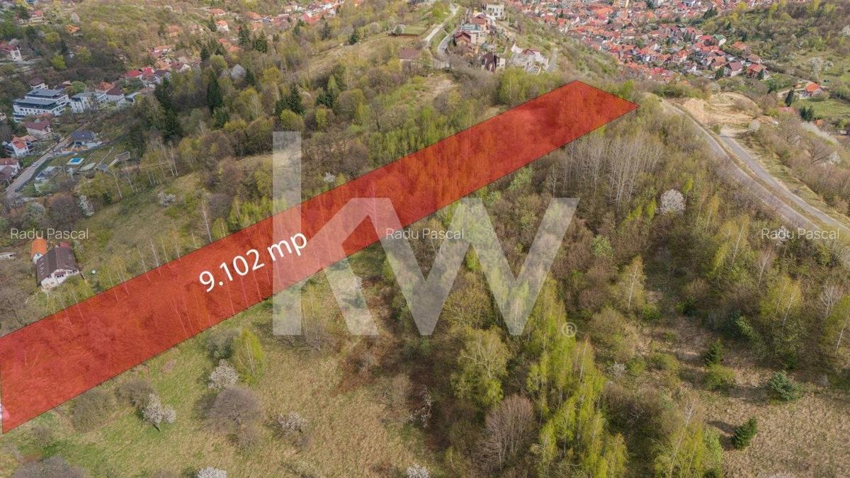Teren Construcții intravilan de 9102 mp, în Drumul Poienii - 6