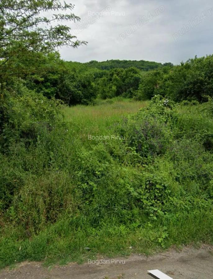 Teren intravilan extravilan in Draga?ani , str Regele Ferdinand - 1