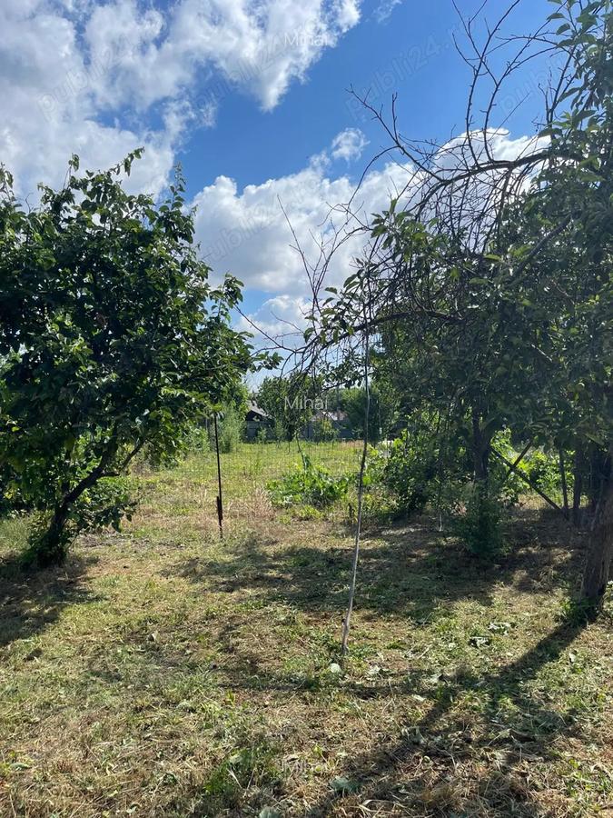 Teren cu casa in comuna Iepuresti, judetul Giurgiu - 4