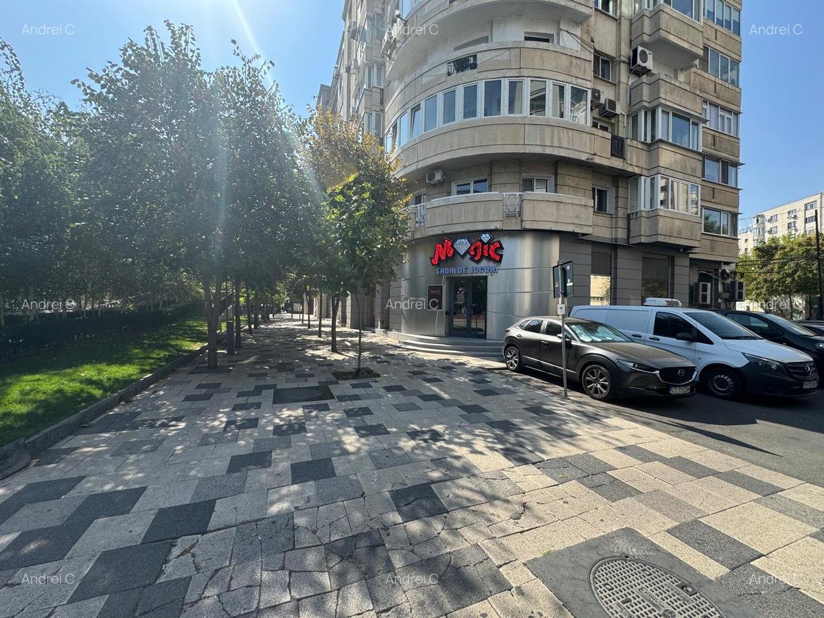 Spatiu comercial 100 mp de vanzare – Dristor / Camil Ressu - 1