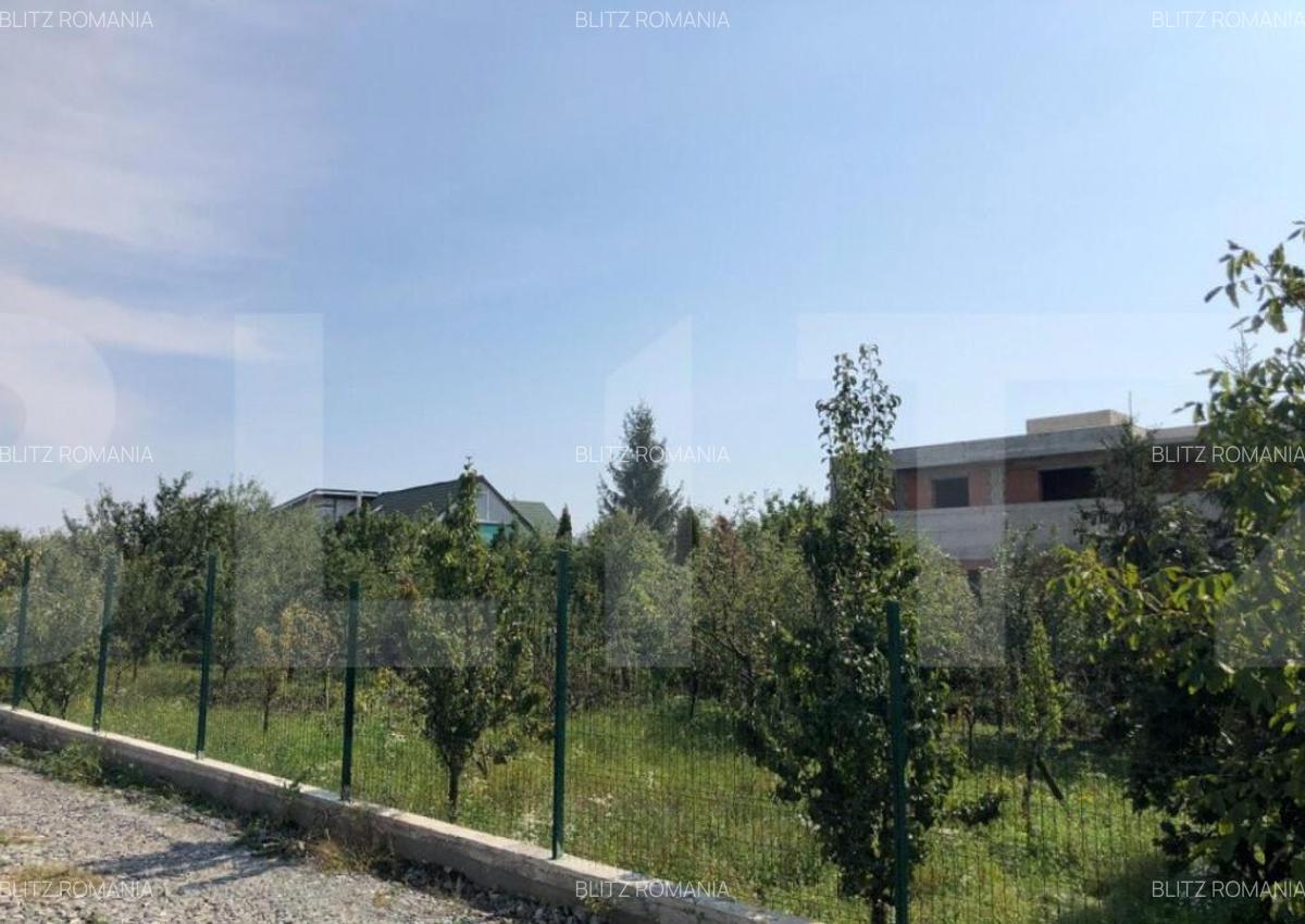 Teren intravilan 974 mp, zona dezvoltata de case, Dambu Rotu - 2