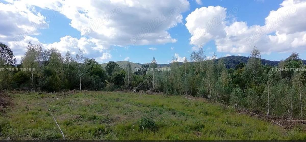 Teren cabana de vacanta Comision 0% - 1