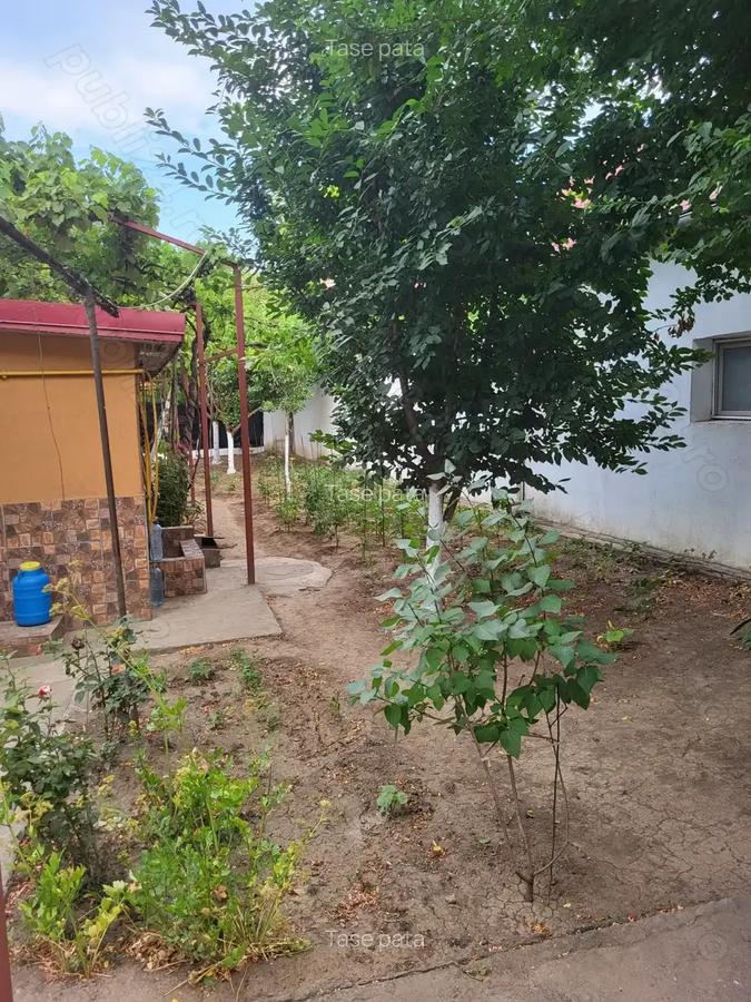 VAND casa Zona Coiciu - 8