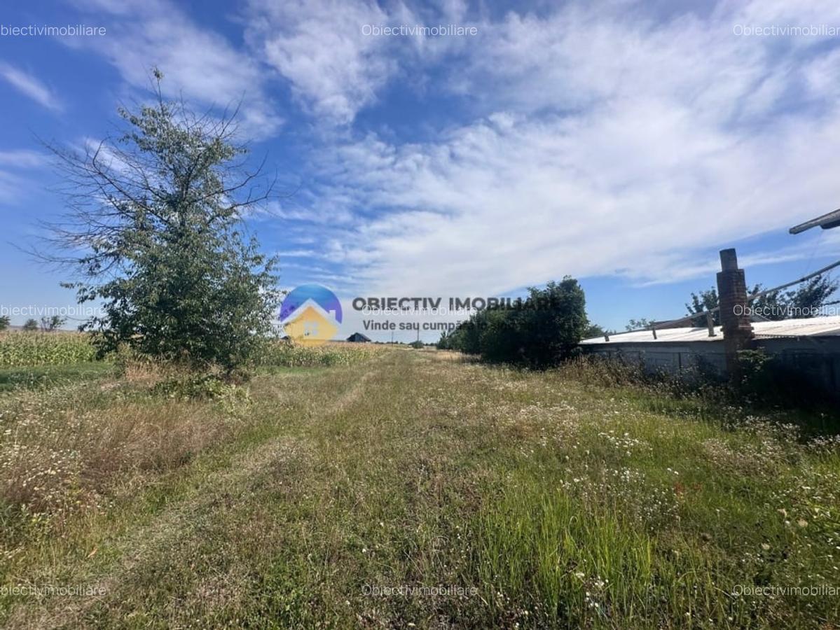 Teren intravilan de vanzare - 1.688 mp, Dumbrava Rosie - 1