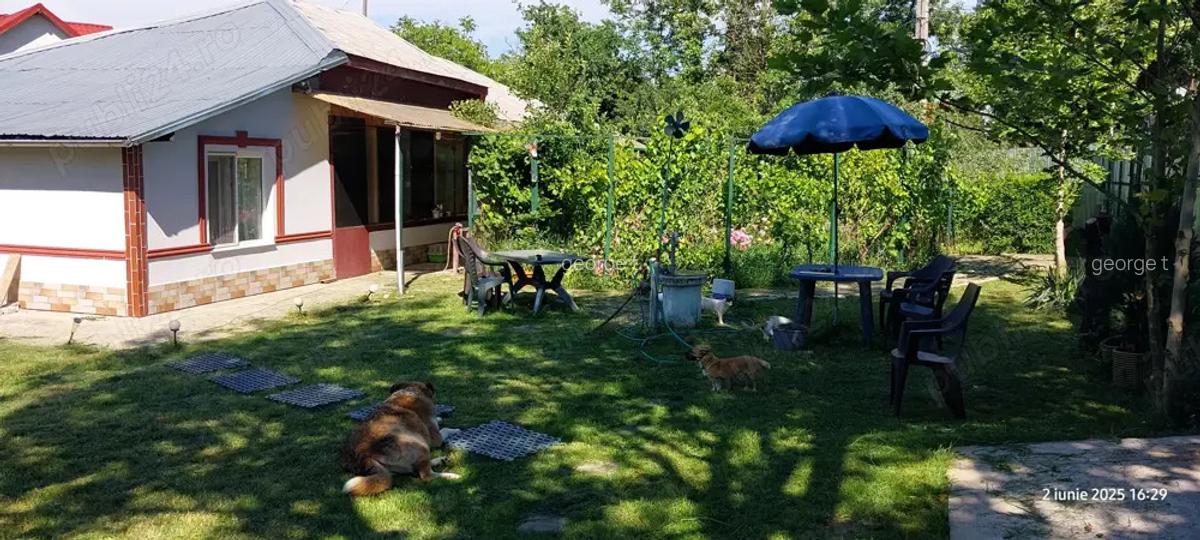 Casa langa bucuresti 1600mp zona gorneni giurgiu 100 metri de DN6 E7 30 km de piata unirii - 4