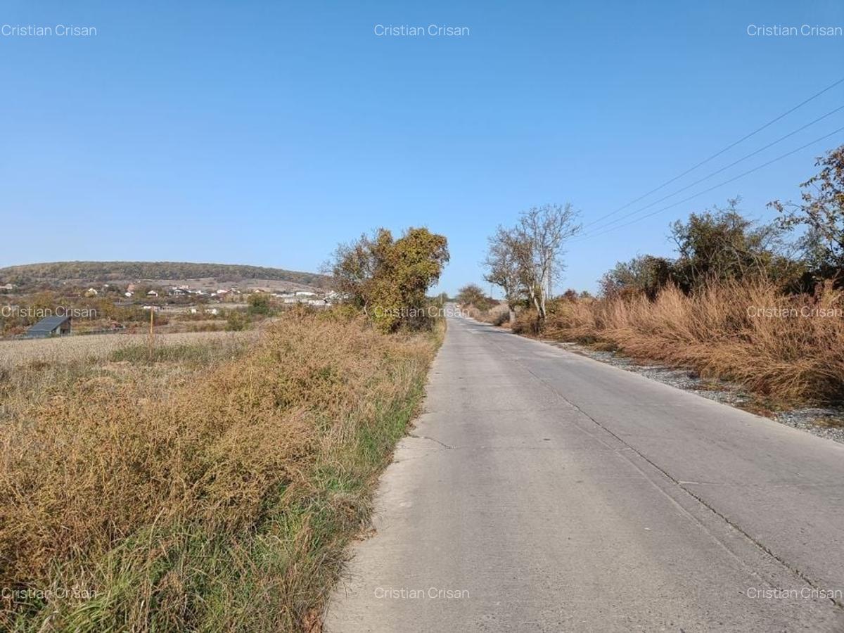 Teren extravilan 5,671mp Cluj-Napoca / Strada Lombului - 2