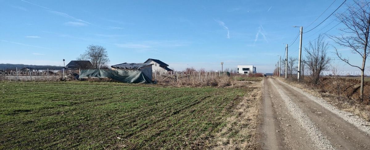 Direct proprietar teren intravilan 700mp Otopeni Odai - 1 Direct proprietar teren intravilan 700mp Otopeni Odai - 1