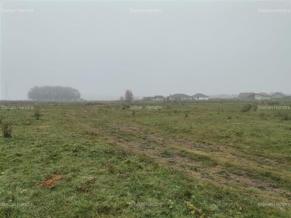 Teren Construcții intravilan de 9200 mp, în Biharia - 3
