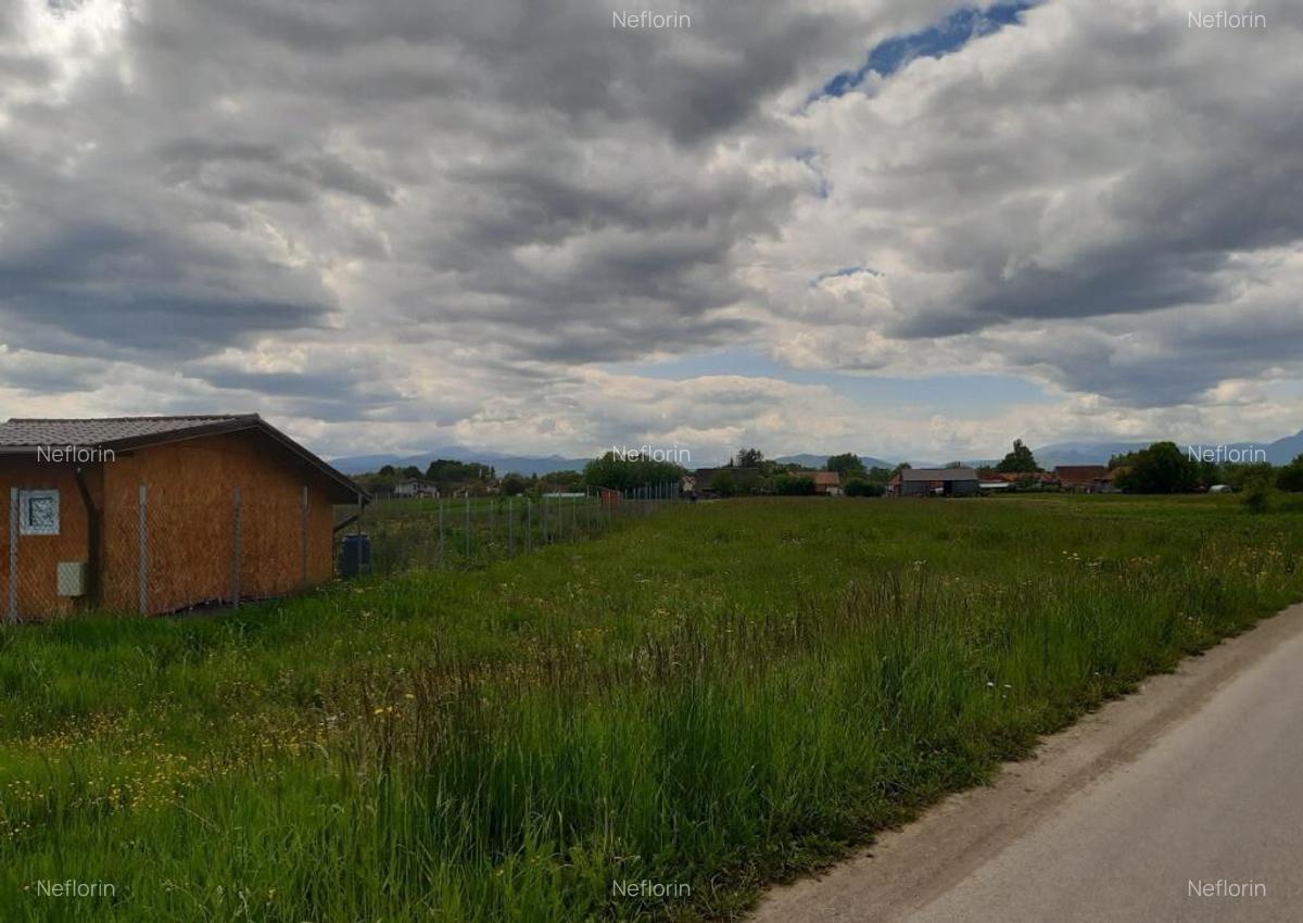 Teren intravilan 5000 mp construibi rezidential Lunca Calnicului - 2