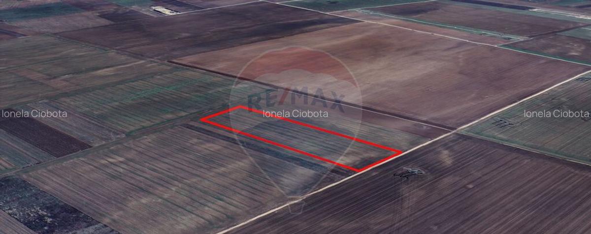 Teren extravilan de vanzare 6.500 mp, Harman, Bra?ov - 6
