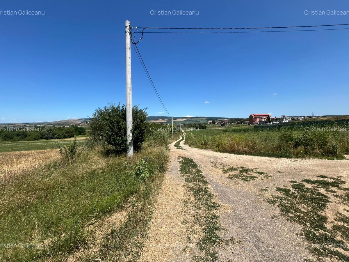 De vânzare teren extravilan – Calea Feldioarei, 10.000 mp - 4
