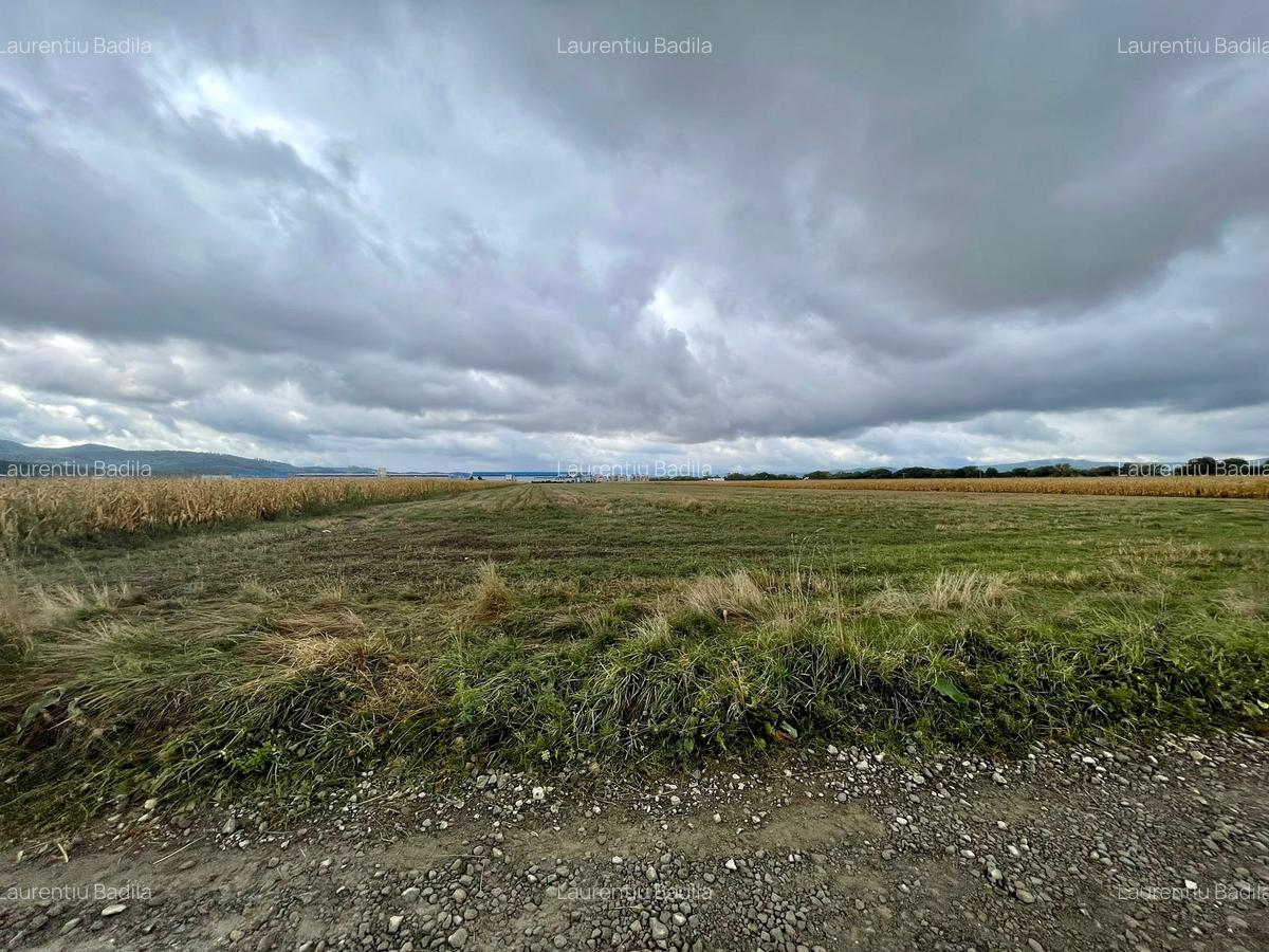 Teren industrial pretabil hala P.U.Z aprobat! - 4