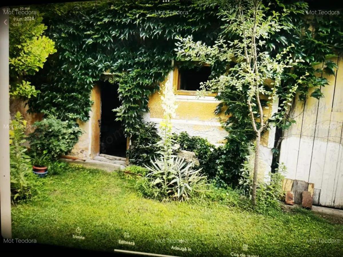 De vanzare casa in Buzad- 709 - 18