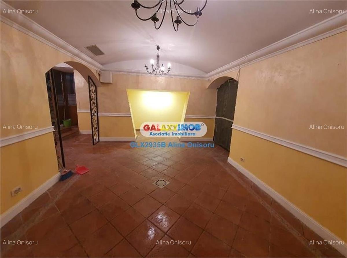 Spatiu comercial 100 mp Moxa Victoriei - 2