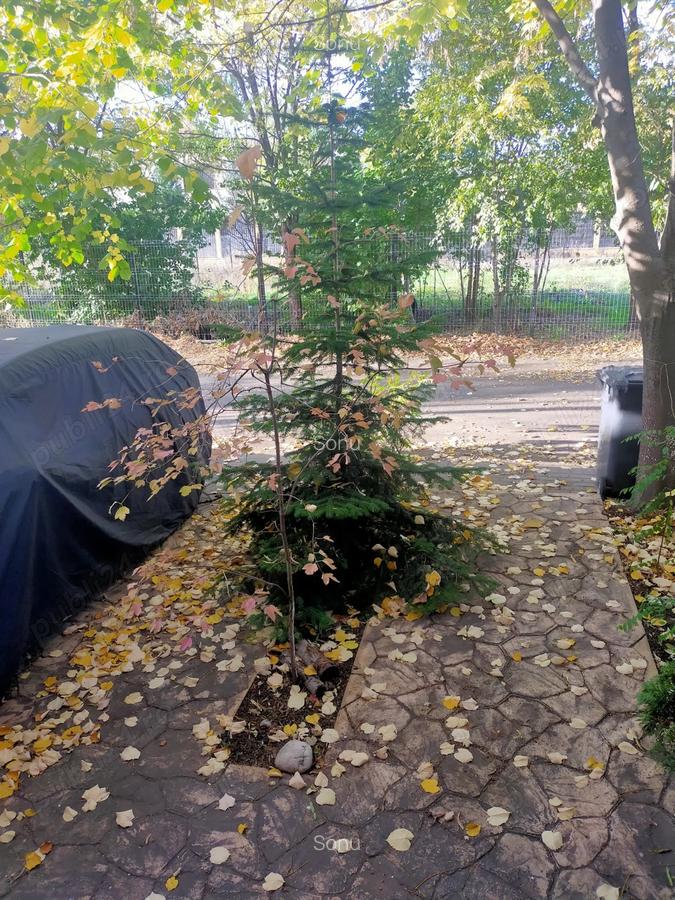 Vand Casa P+E+Pod , Bragadiru - 3