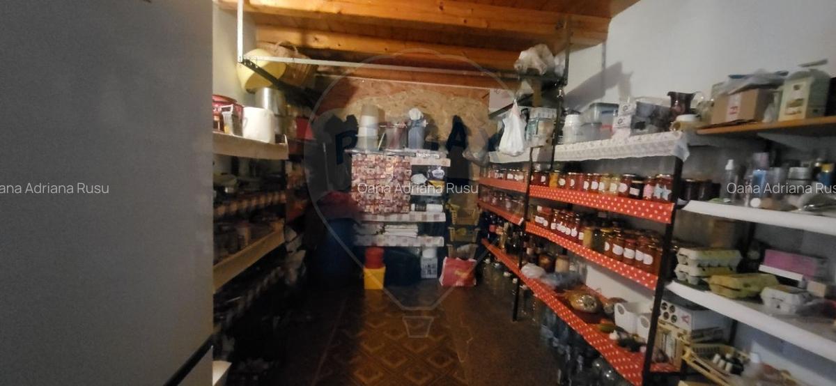 Vila impunatoare in Cartierul Functionarilor - 9