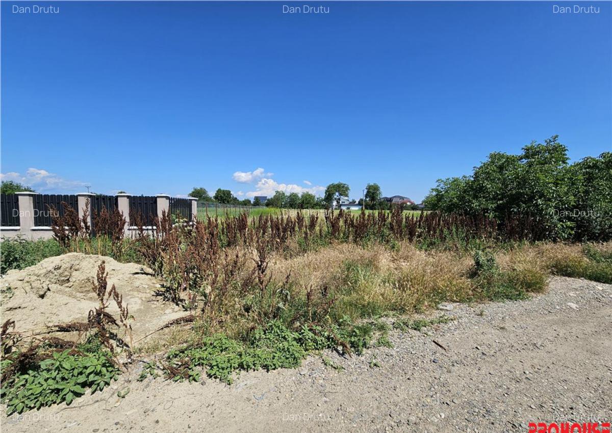 Teren intravilan, 1.600 mp, Serbanesti (LIDL) - 2