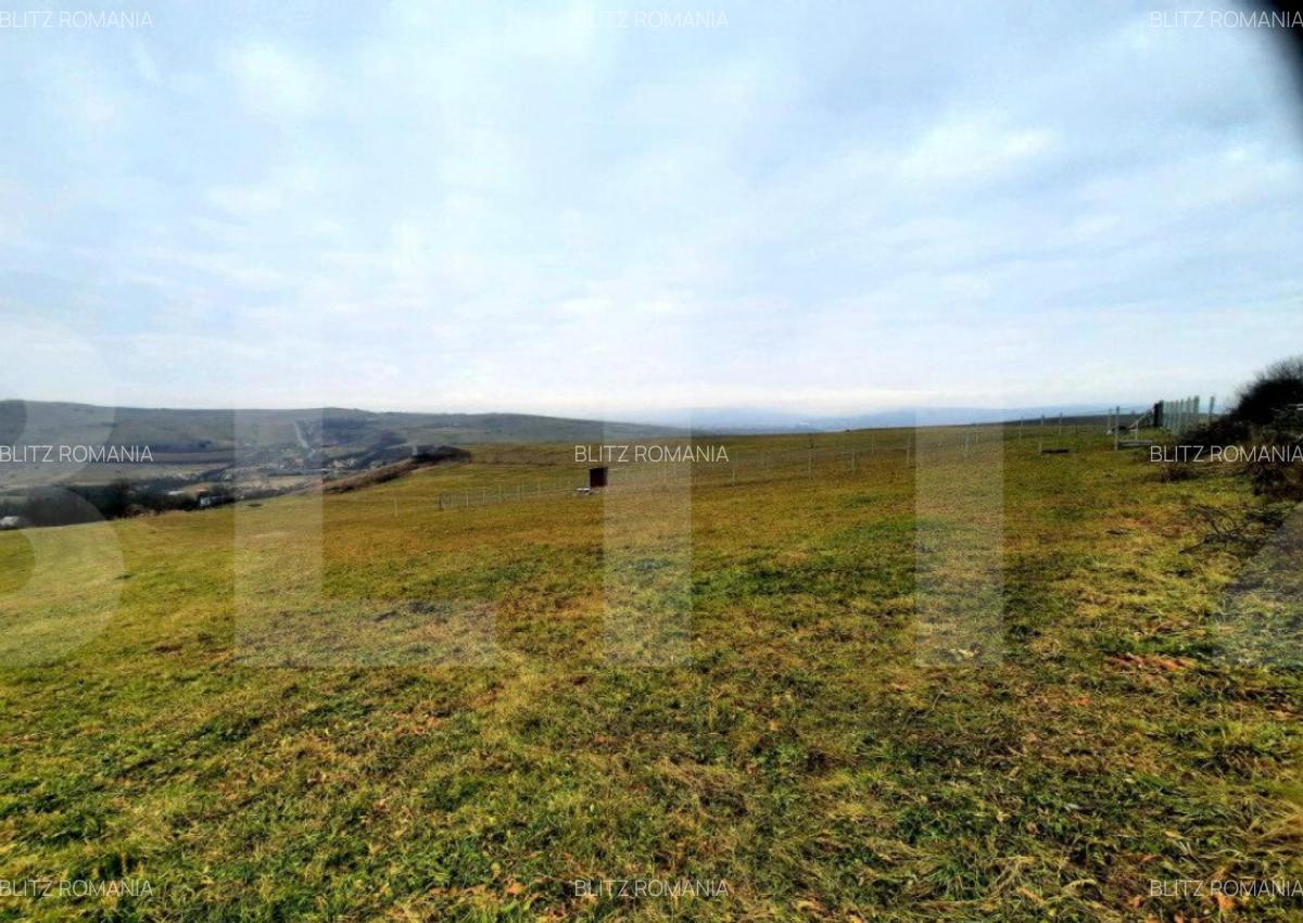 Teren intravilan 4300mp, cu panorama deosebita, Sopor - 3