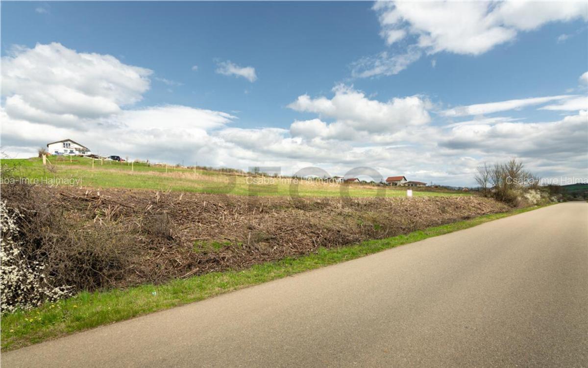 Teren intravilan Cetariu - 1