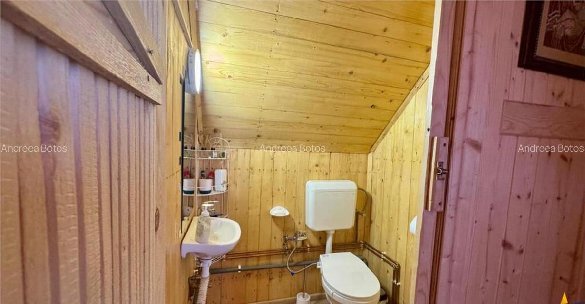 FILM3D!Cocheta casuta, mobilata, accesorizata, garaj, gradin - 13