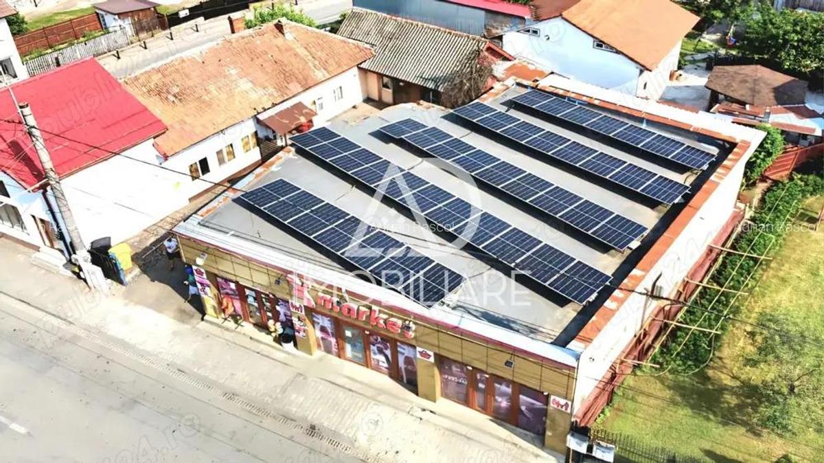 Spatiu comercial de vanzare - Calea Severinului - 8
