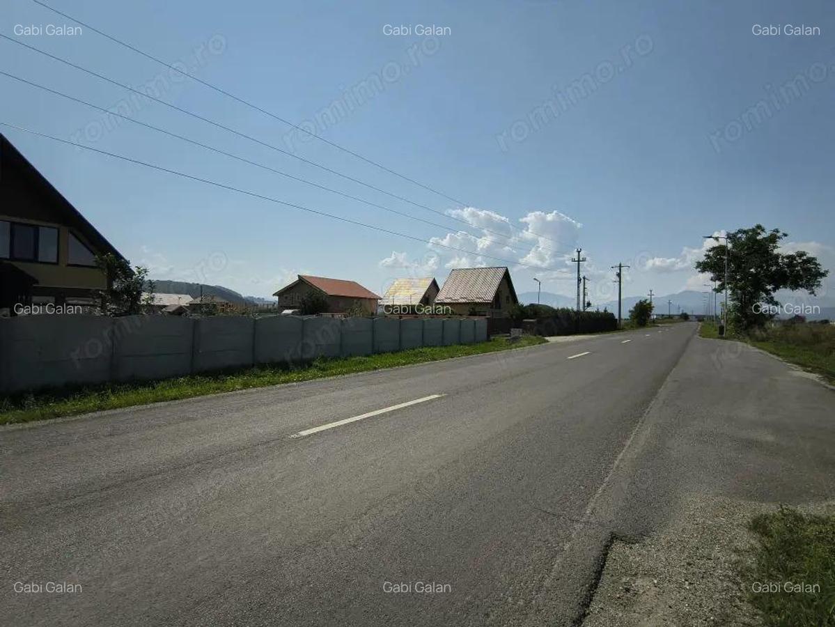 Teren Bod - intrare dinspre Sinpetru - 6