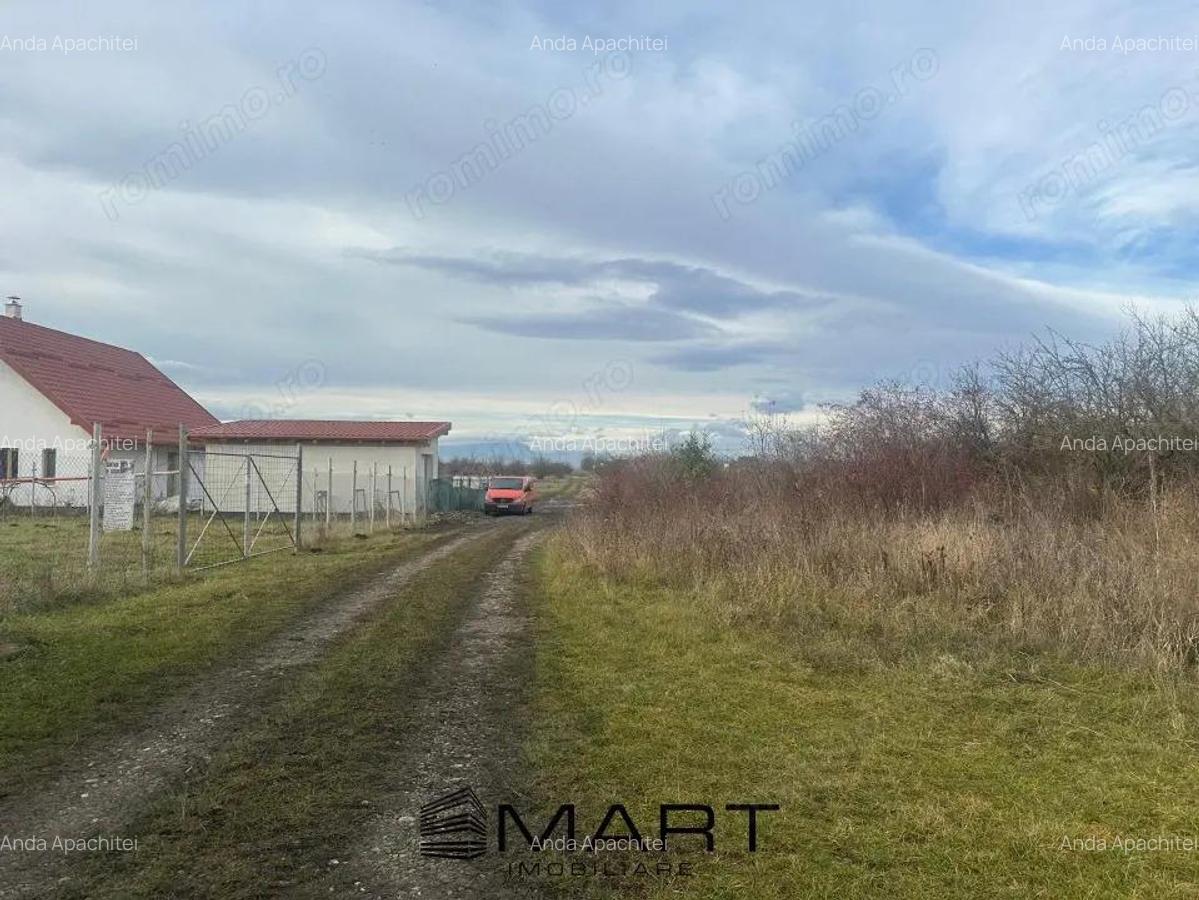 Teren Intravilan 1105 mp Sanpetru - 2