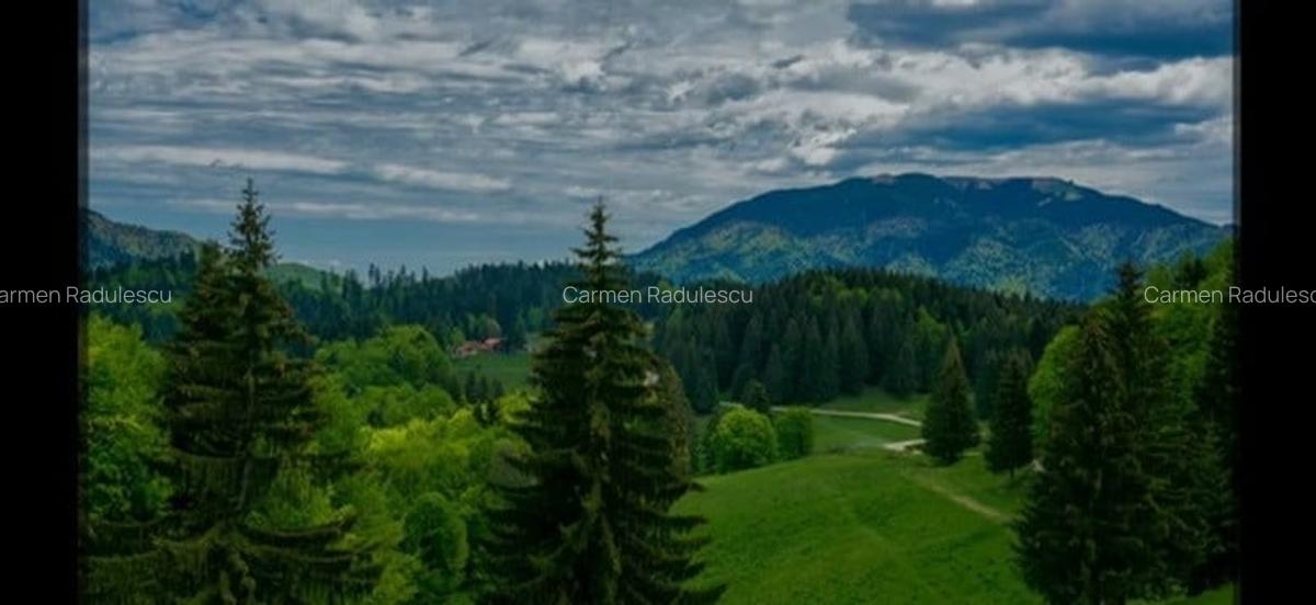 SUPERB Teren  intravilan de 2350mp  in Poiana Mica Brasov - 1