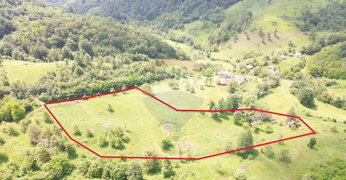 Teren intravilan de vis in Mun?ii Apuseni, curent + izv... - 23