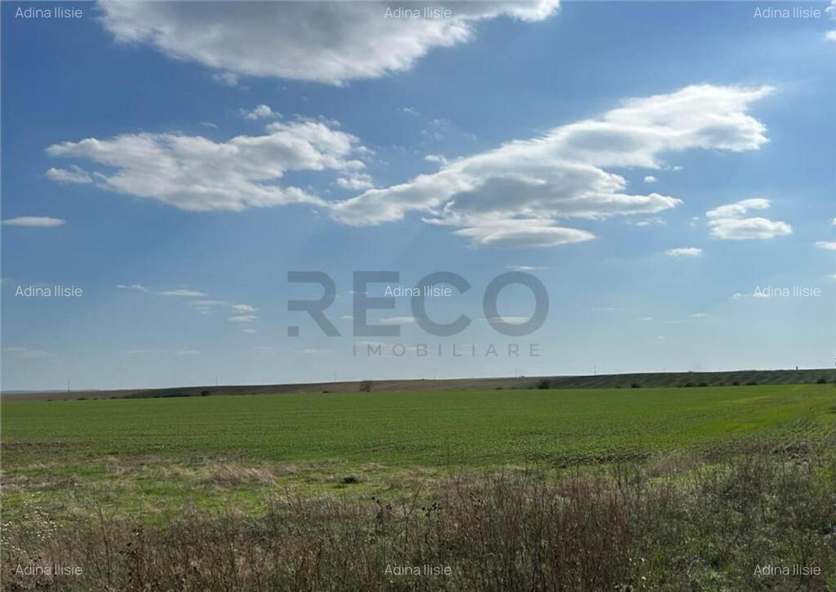 RECO Oportunitate teren 25000mp Santandrei - 2