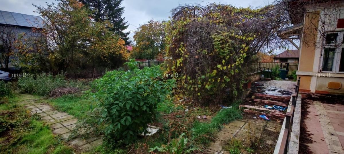 Casa locuibila cu 3 camere, 1700 mp teren deschidere 30 m, DOMNESTI - 2