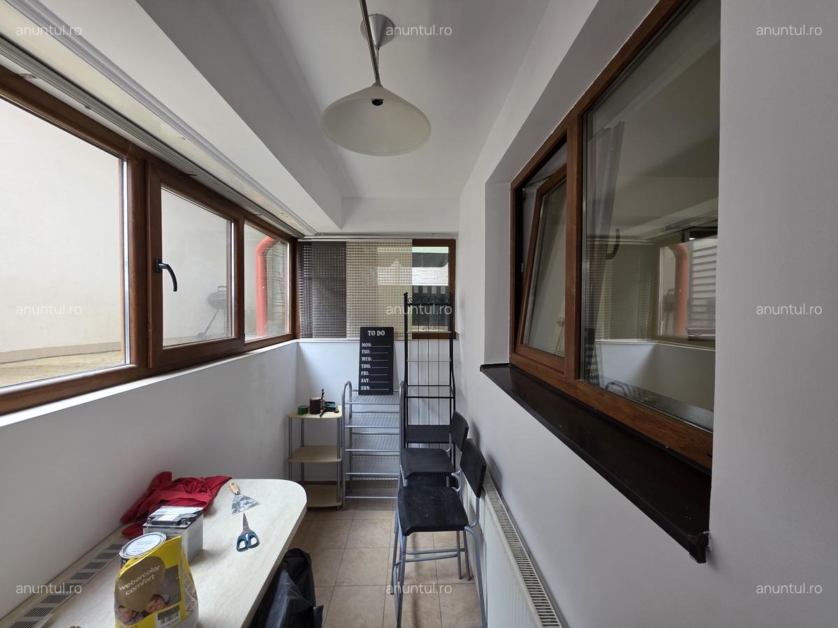 Ion Mihalache-Domenii - 2