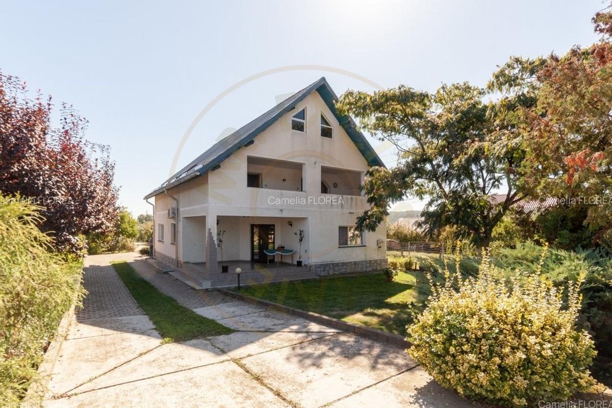 Casa visurilor cu livada roditoare si gradina amenajata Darmanesti-Arges - 2 Casa visurilor cu livada roditoare si gradina amenajata Darmanesti-Arges - 2
