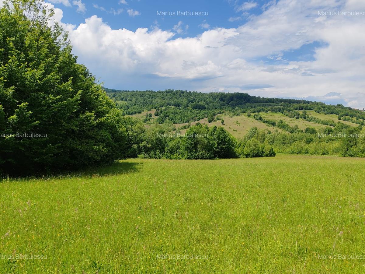2,2 HA TEREN EXTRAVILAN FANEATA, Muntii Apuseni, Ciucea - Cluj, la 5 km de E60 - 9