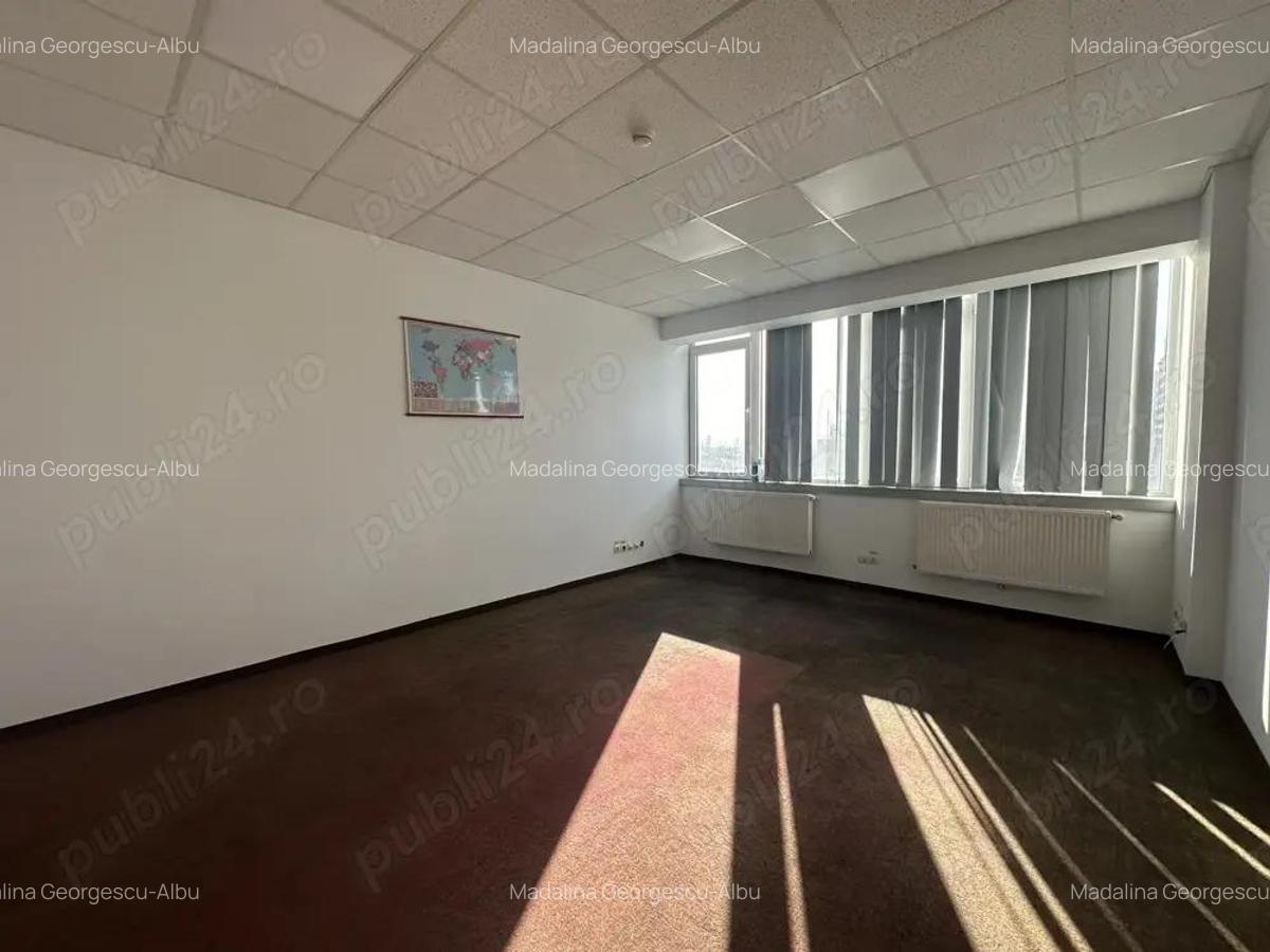 Theodor Pallady stradal birou 410 mp utili LIBER - 19