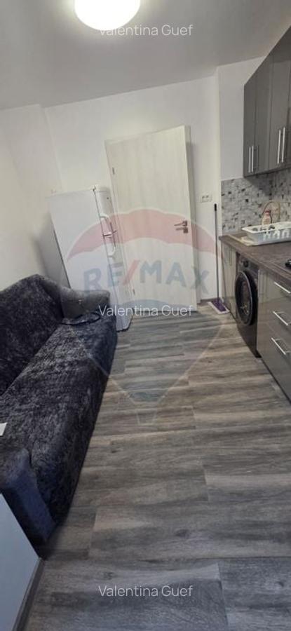 Inchiriere Apartament piata Gorjului - 9