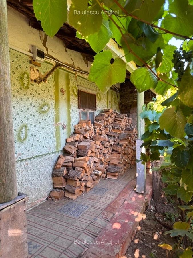 Vând casa in vatra veche sat  Bacova jud.Timiș - 2