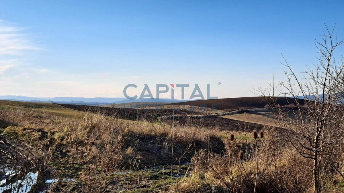 Teren extravilan 4 300 mp, expunere sudica - 3