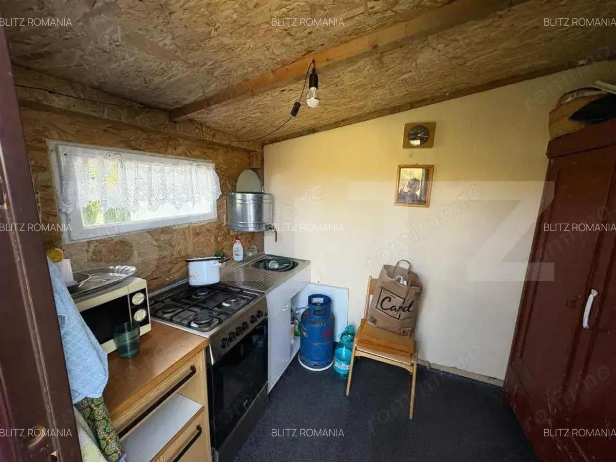 Casa de vacanta zona Ciugud - 5