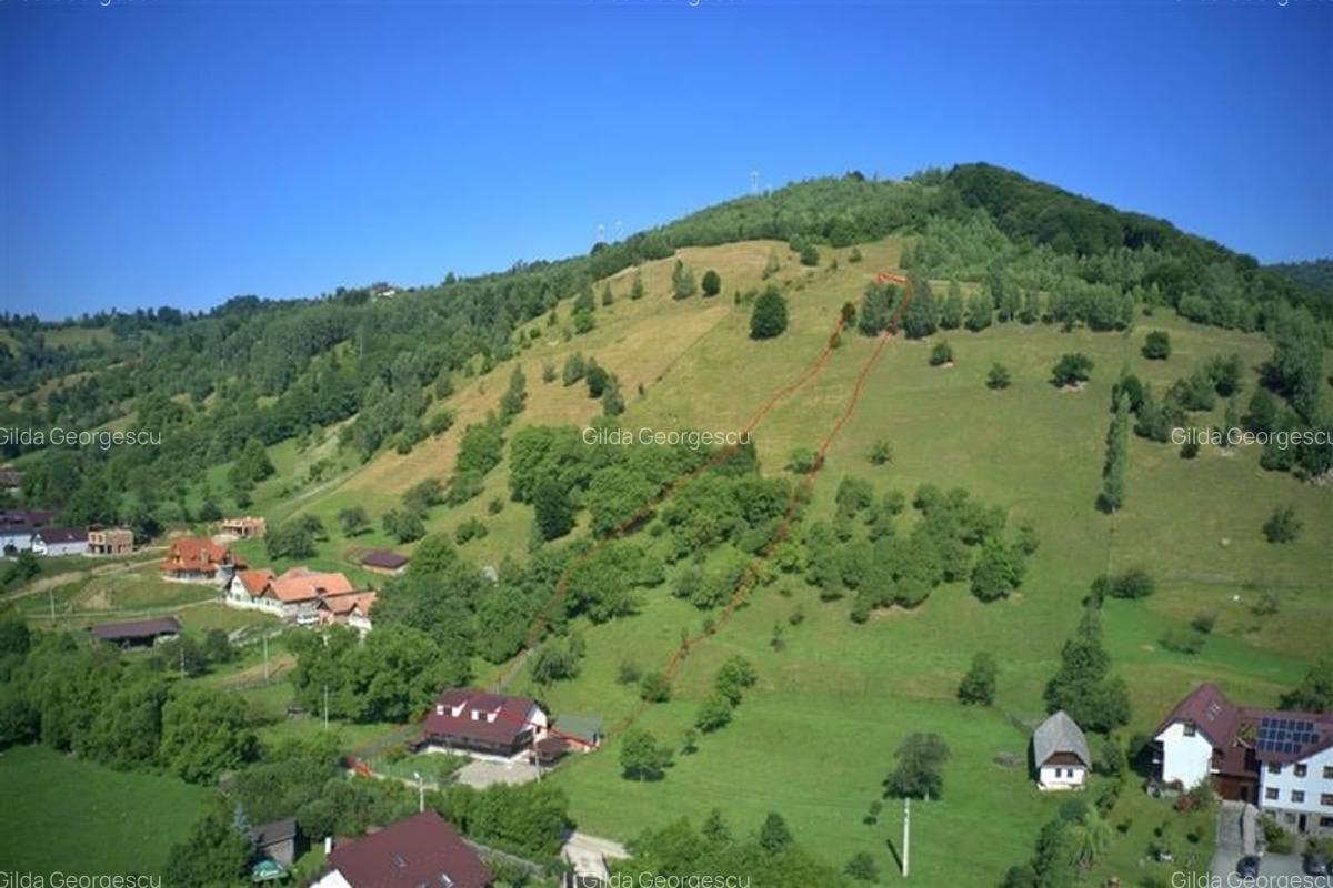 Teren Construcții intravilan de 5000 mp, în Exterior Est - 3