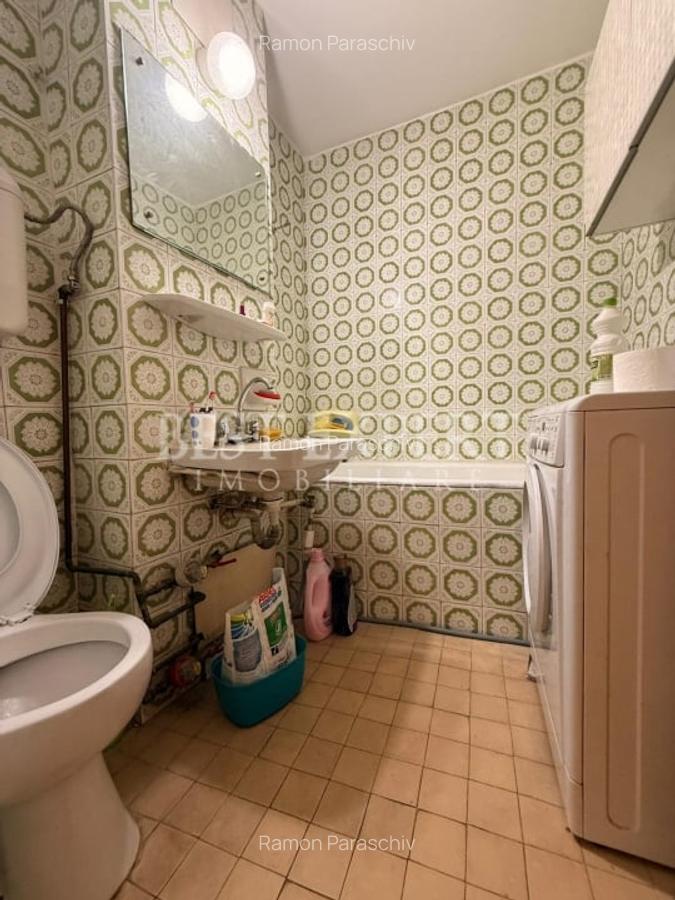 2 Camere Theodor Pallady Salajan - 9