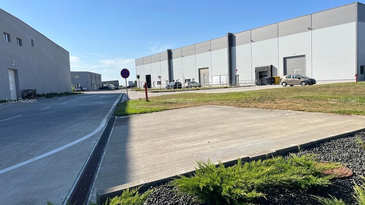 Hale de inchiriat Timisoara, Giarmata - 2