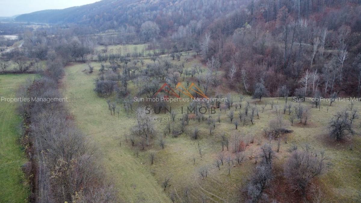 Teren Construcții intravilan de 36000 mp, în Provița de Jos - 1