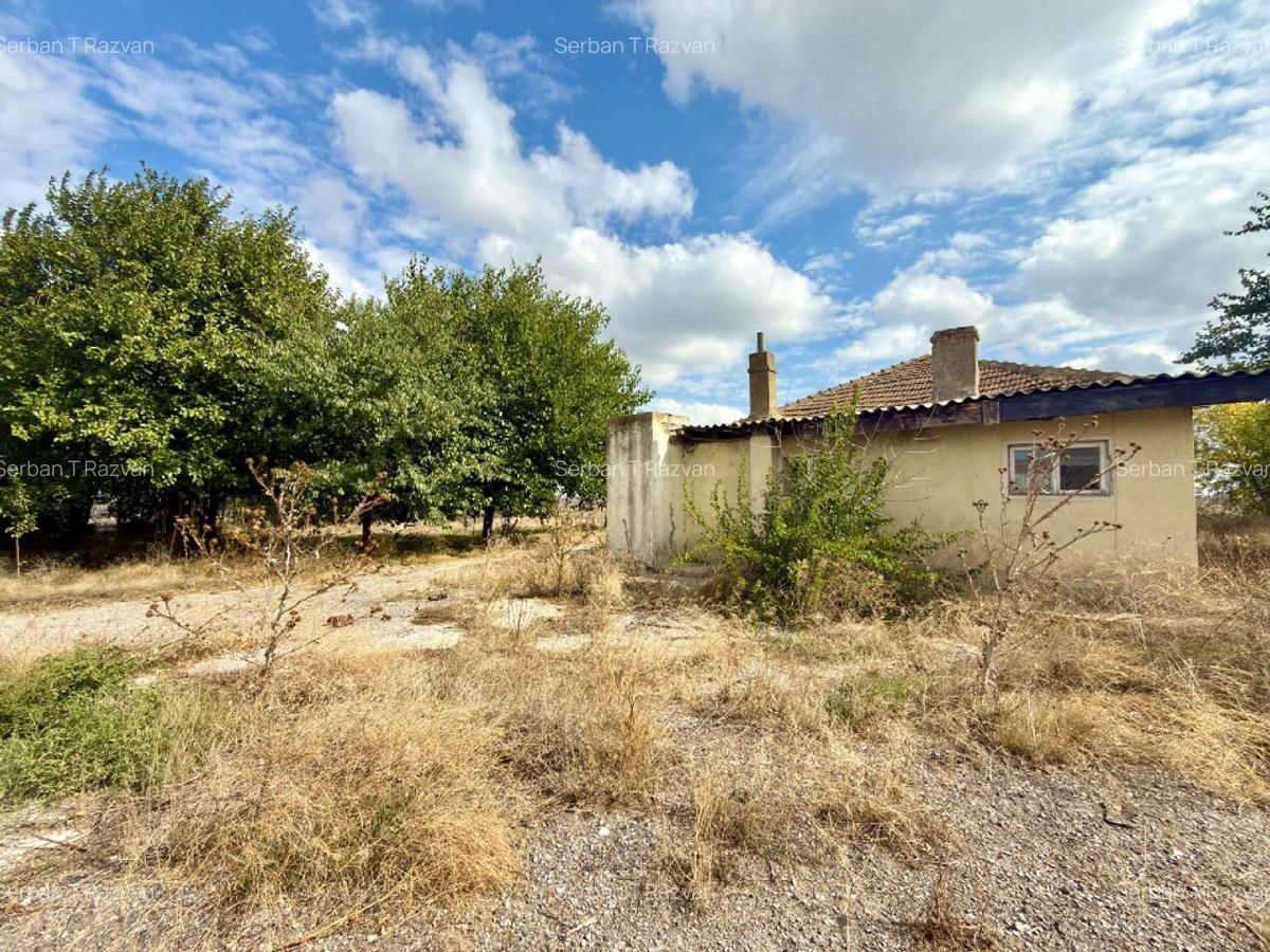 Fermă în Medgidia, zona Tortomanu - 6