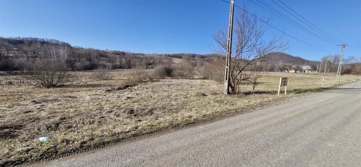 Teren Construcții intravilan de 3893 mp, în Borod - 2